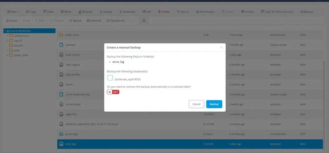How to Use SPanel’s File Manager: A Complete Guide, Quick File and Database Backups From the Toolbar