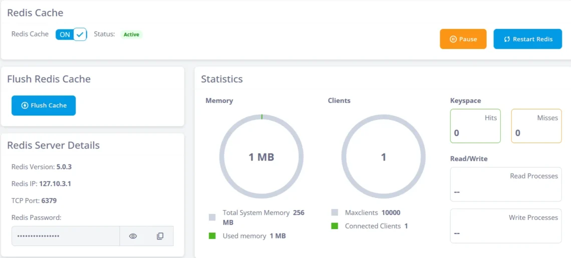 Redis Cache: Guide to High-Performance Caching, ScalaHosting’s SPanel: Dedicated, Secure Redis Instances for Every Website